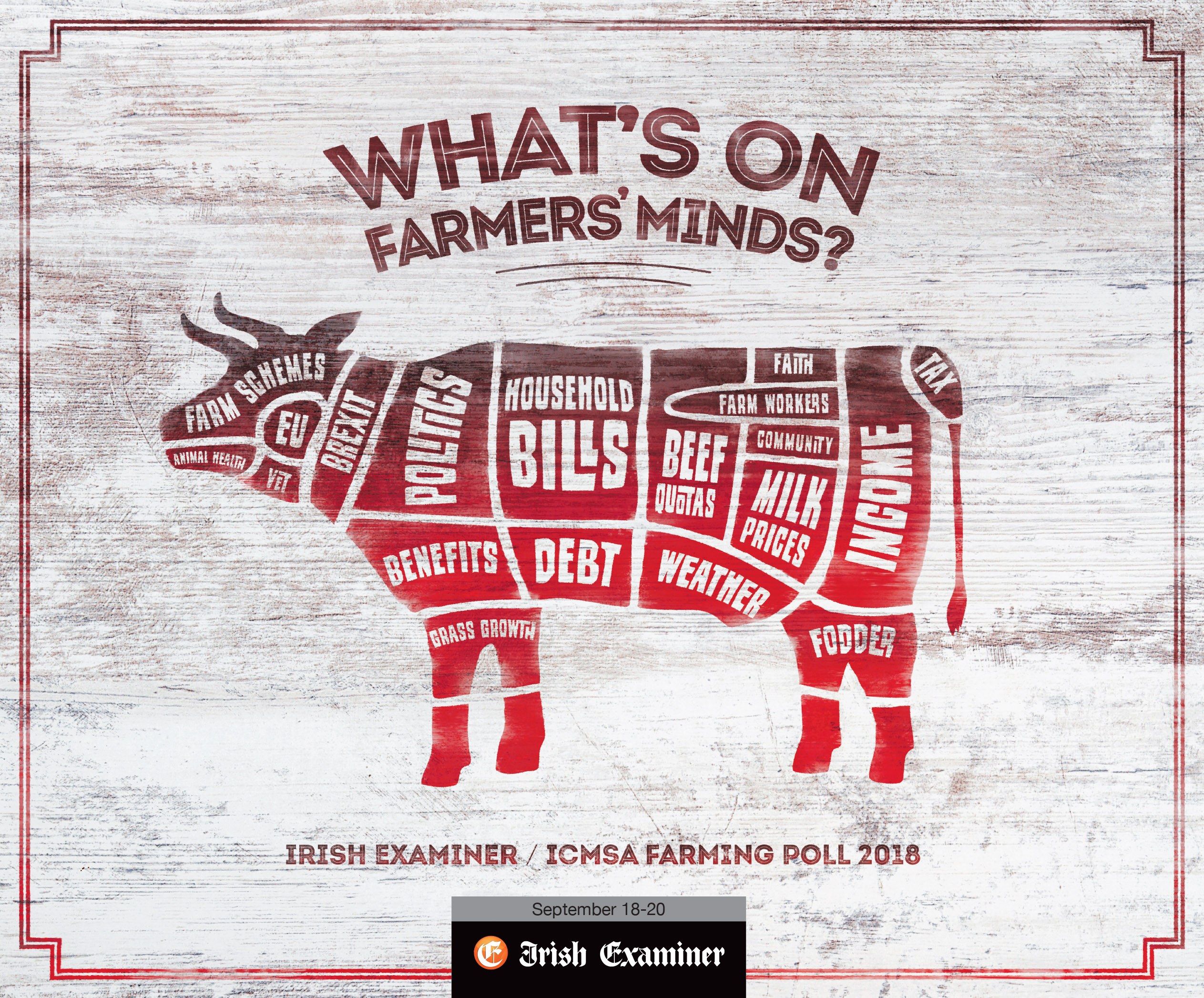 Irish Examiner Farming Poll Art Director Nerd